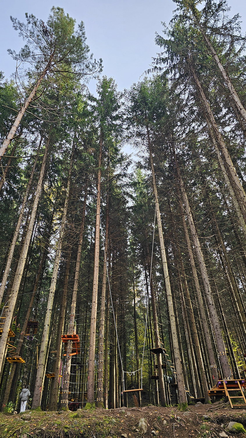 Săpânța Aventura Parc — foto 2